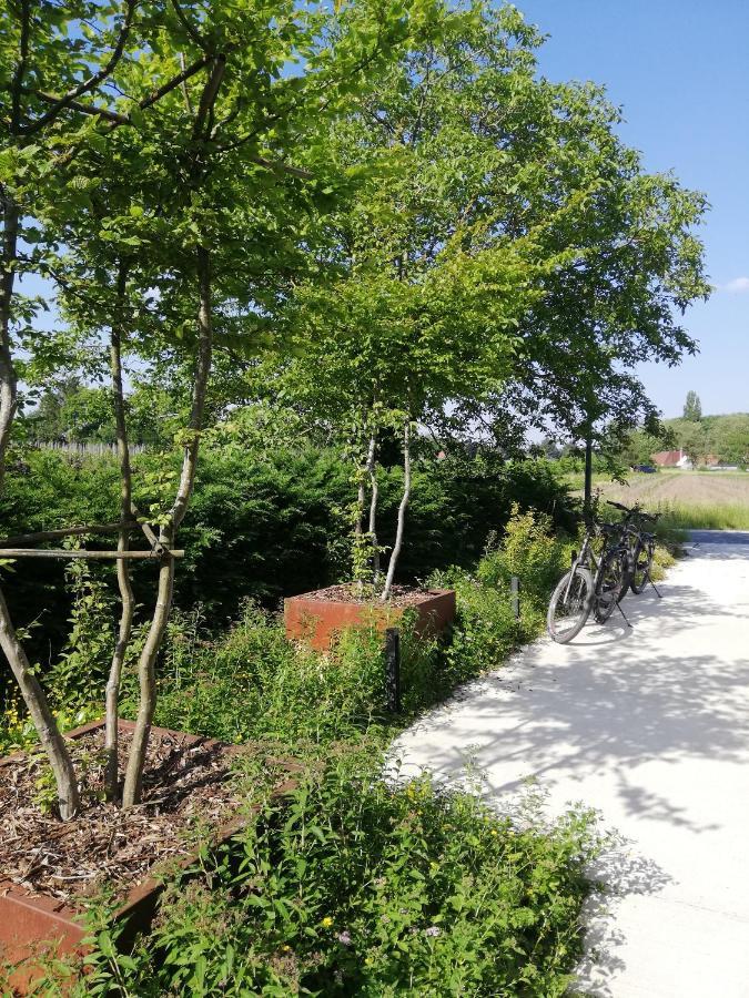 B&B De Stuifduinen Wetteren Ngoại thất bức ảnh