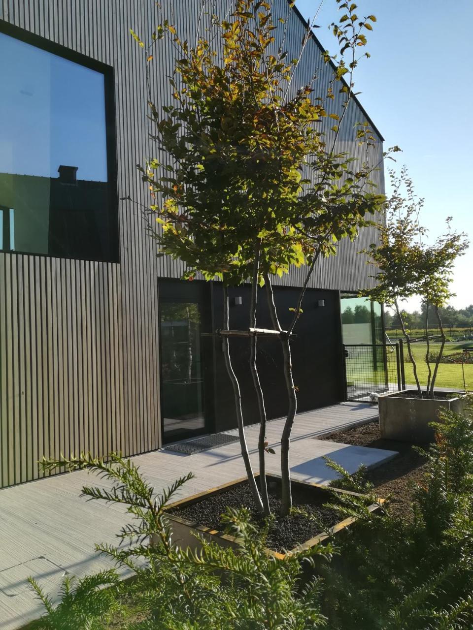 B&B De Stuifduinen Wetteren Ngoại thất bức ảnh