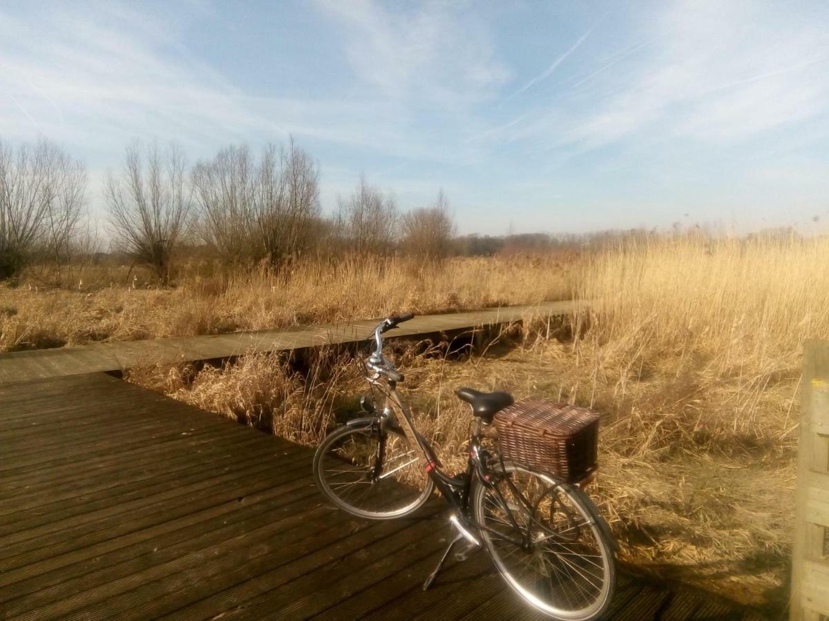 B&B De Stuifduinen Wetteren Ngoại thất bức ảnh