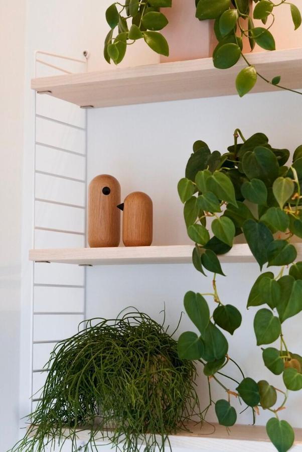 B&B De Stuifduinen Wetteren Ngoại thất bức ảnh